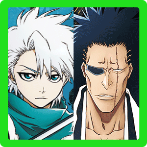 剣八＆日番谷（剑八&日番谷）